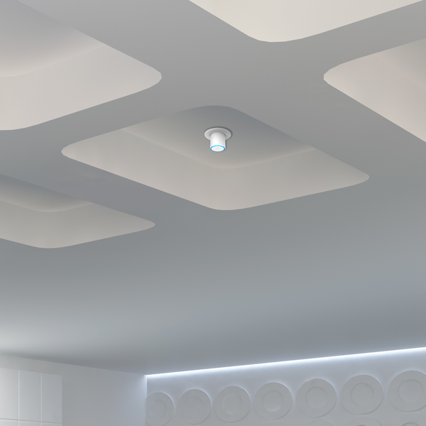 Access Point FlexHD
